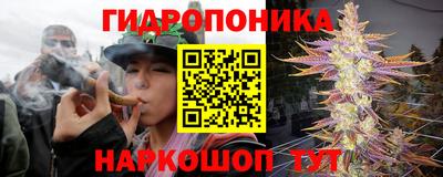mdma Пенза