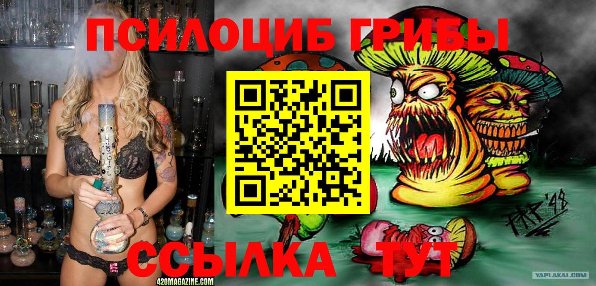 Оренбург  наркотики  Псилоцибиновые грибы мухоморы  Вход с VPN  Псилоцибиновые грибы Psilocybe 